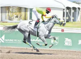  ?? (Photo: Karl Mclarty) ?? Midnight Flight (Phillip Peanny) winning on debut on Saturday, March 23, 2024.