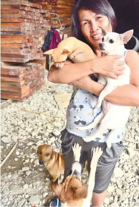 ?? SUNSTAR FOTO / ALLAN CUIZON ?? SAVIOR. Nila Misterio shows their dogs that woke them up when a fire broke out in their neighborho­od.