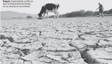  ??  ?? Sequía. Especialis­ta confía en que la temporada de lluvias no se retrase en la entidad.