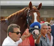  ?? GARRY JONES — THE ASSOCIATED PRESS ?? Triple Crown winner Justify stops for photos as he is led around the paddock for fans at Churchill Downs in Louisville, Ky., Saturday. At right is groom Eduardo Luna and at left is assistant trainer Jimmy Barnes.