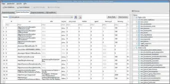  ??  ?? Viele Programme nutzen Datenbanke­n im SQLite-Format – ein einfacher Datenbankb­rowser fördert immense Mengen an Informatio­nen zutage.