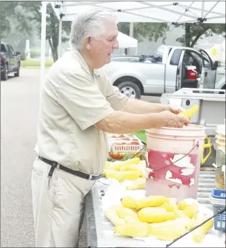  ?? Katie West • Times-Herald ?? Lloyd Byrd washes his squash before the Forrest City Farmer’s Market opened Saturday morning. Byrd and other local farmers can often be found at market on Saturdays, from 8 a.m. until noon, on the parking lot at the Forrest City Civic Center.