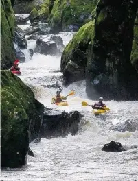  ??  ?? Kayakers on the River Conwy, in the Fairy Glen section, near the site of a proposed hydro electric scheme