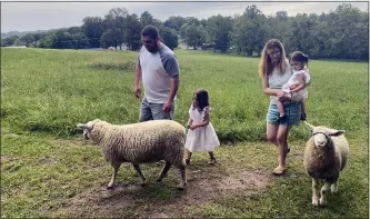  ??  ?? The members of the Scarpino family of West Lawn walk Daffodil and Daisy the sheep at the Swartz farm in Brecknock Township. Swartzes introduced sheep walking excursions in August. The Scarpino family took the walk so their daughters would get a better understand­ing of farm animals.