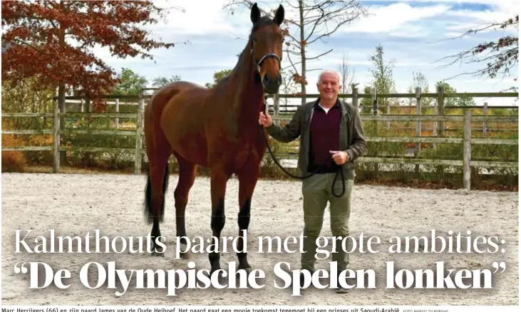  ?? FOTO MARGO TILBORGHS ?? Marc Herrijgers (66) en zijn paard James van de Oude Heihoef. Het paard gaat een mooie toekomst tegemoet bij een prinses uit Saoudi-Arabië.