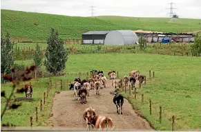  ?? STUFF ?? Over the past 17 years these dairy farmers have made big strides to improve their environmen­tal performanc­e.