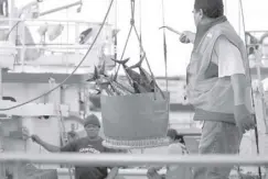  ??  ?? IN this Businessmi­rror file photo, fish is unloaded from a commercial fishing boat.