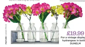  ??  ?? £19.99 for a vintage display, try hydrangeas in bottles, DUNELM