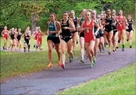  ?? BOB RAINES — DIGITAL FIRST MEDIA ?? Runners from Pennridge, Central Bucks West and Souderton are still clumped early in the cross country tri-meet at Peace Valley Park.