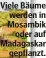  ?? ?? Viele Bäume werden in Mosambik oder auf Madagaskar gepflanzt.