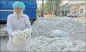  ?? HT FILE ?? Cotton production in the current season, which began last year on October 1 is expected to decline in Punjab by 2 lakh bales.