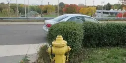  ?? JACK LAKEY/TORONTO STAR ?? Drivers who park in front of a fire hydrant behind a hedge on Barton Ave., across the street from Christie Pits, could return to their vehicles to find a $100 ticket.