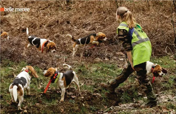  ??  ?? Un arrêté devrait concrétise­r sous peu l’emploi du collier de géolocalis­ation même en cours de chasse.