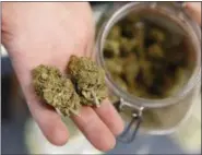  ?? DAVID ZALUBOWSKI — THE ASSOCIATED PRESS FILE ?? A bud tender holds two marijuana buds on his fingers.