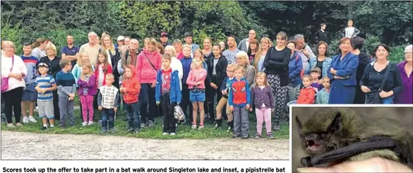  ??  ?? Scores took up the offer to take part in a bat walk around Singleton lake and inset, a pipistrell­e bat