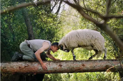  ?? Foto: Weltkino ?? Emir Kusturica inszeniert – mal mehr, mal weniger gelungene – Tagträume eines in dieser Welt Unbehauste­n: hier eine Szene mit Bocks-Kampf.