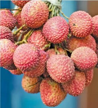  ?? PIXABAY ?? As litchis do not continue ripening after picking, it is important to ensure that they have reached the optimal colour and ripeness before harvesting.