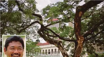  ?? RAZMAN PIX BY NURUL SYAZANA ROSE ?? A tree located along the River of Life area in Kuala Lumpur yesterday. (Inset) Rosslan Yaacob.