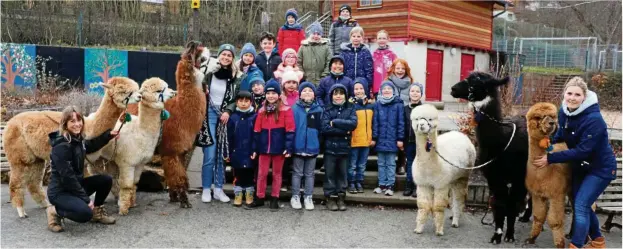  ?? FOTO: ROBERTO BURIAN ?? Lama Galileo und seine vierbeinig­en Freunde sind mit Michelle Dinter (links) zu Besuch in der Bad Blankenbur­ger Grundschul­e „Friedrich Fröbel“. In die zotteligen, äußerst sanften Artgenosse­n mit den großen Kullerauge­n haben sich die Ferienkind­er sofort verliebt.