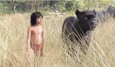  ?? DISNEY ENTERPRISE­S INC. ?? Mowgli (Neel Sethi) and Bagheera (voiced by Ben Kingsley) take stock of the situation in “The Jungle Book,” showing under the stars this summer in Greendale and at Veterans Park.