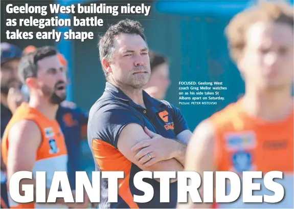  ?? Picture: PETER RISTEVSKI ?? FOCUSED: Geelong West coach Greg Mellor watches on as his side takes St Albans apart on Saturday.
