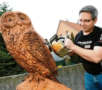  ?? Foto: Silvio Wyszengrad ?? Holzkünstl­er Stefan Bauer erweckt tote Bäume zu neuem Leben ‰ etwa diese Eule aus dem Kirschbaum­stumpf vor einer Lechhau‰ ser Wohnanlage.