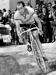  ??  ?? Gino Bartali, il campione di Ponte a Ema sarà ricordato alla partenza del Giro da Israele dove è stato inserito nel Giardino dei GIusti