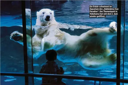  ??  ?? Ein Eisbär schwimmt im Aquarium des „Hakkeijima Sea Paradise“. Der Themenpark in Yokohama hat seit dem 1. Juni wieder geöffnet.