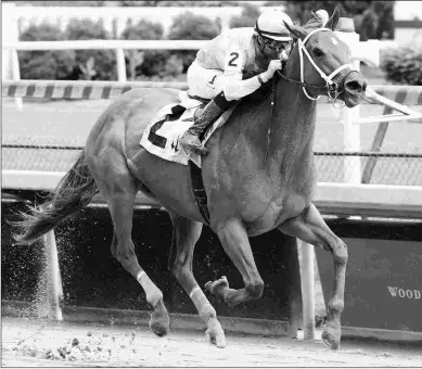  ?? COADY PHOTOGRAPH­Y ?? Monomoy Girl wins her comeback race at Churchill Downs following a 1 1/2-year layoff.