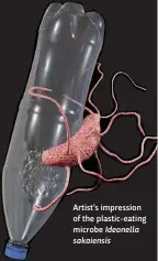  ??  ?? Artist’s impression of the plastic-eating microbe
Ideonella sakaiensis