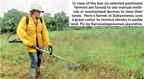  ??  ?? In view of the ban on selected pesticides farmers are forced to use manual methods or mechanised devices to clear their lands. Here a farmer in Saliyawewa uses a grass cutter to remove shrubs in paddy land. Pic by Karuwalaga­swewa jayaratna.