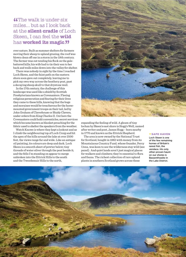  ??  ?? SAFE HAVEN Loch Skeen is one of the few remaining homes of Britain’s rarest fish, the vendace. His only other proven haunt on our shores is Bassenthwa­ite in the Lake District.