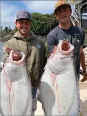  ?? CHUCK PETRUSHA — CONTRIBUTE­D ?? Twin brothers Connor, left, and Logan Petrusha of Eureka landed a nice twin pair of Pacific halibut while fishing out of Eureka on Sunday. The boys were fishing with their father Chuck along the 48-line in 300feet of water.