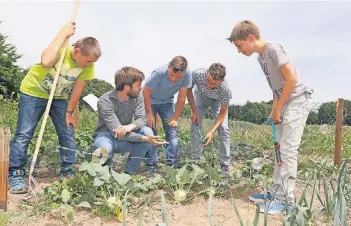  ?? RP-FOTO: JÜRGEN LAASER ?? Dr. Christoph Schmitz (2.v.l.) spricht mit einigen Kindern der Realschule Wegberg über Schädlinge, die sie an dem von ihnen angebauten Gemüse entdeckt haben.