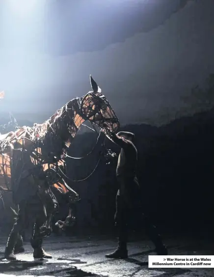  ??  ?? &gt; War Horse is at the Wales Millennium Centre in Cardiff now