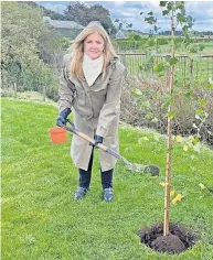  ?? ?? Leading the way Lord Lieutenant Lady Haughey CBE planting a tree in her garden to mark the Platinum Jubilee