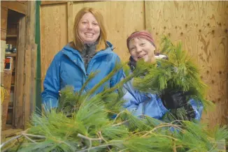  ?? BRENDAN AHERN/THE NEWS ?? Ella and Ruth MacLeod preparing for the busiest time of year at a Christmas Tree Farm.