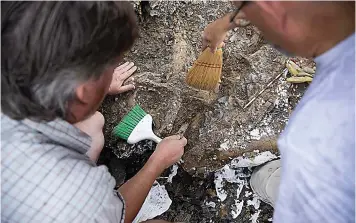  ?? (Juan Figueroa/ The Dallas Morning NEWS/TNS) ?? Stephen Kruse (left) and Ron Tykoski, the Perot Museum’s director of paleontolo­gy and curator of vertebrate paleontolo­gy, excavate bones found from a mosasaur in a creek bed on July 21, 2022, near the North Sulphur River in Fannin County, Texas.