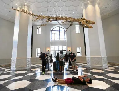  ?? –PHOTOS BY LYN RILLON ?? The skeletal remains of Lolong the crocodile is a crowd drawer. It shares the room with the recently unearthed “Rhinoceros philippine­nsis” fossils.