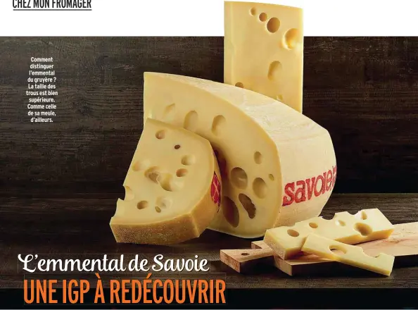  ??  ?? Comment distinguer l’emmental du gruyère ? La taille des trous est bien supérieure. Comme celle de sa meule, d’ailleurs.