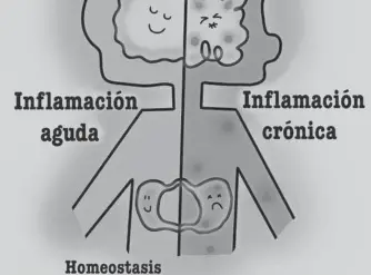  ?? CORTESÍA JESSICA CORTÉS. ?? La inflamació­n permite la homeostasi­s del cuerpo