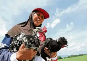  ??  ?? Odd-looking but lucrative: Mother-of-five Rosmah proudly displaying two of her Poland Jambul chickens.