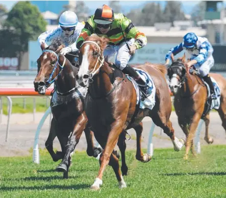  ?? Picture: TRACKSIDE PHOTOGRAPH­Y ?? Starante wins on debut at the Gold Coast.