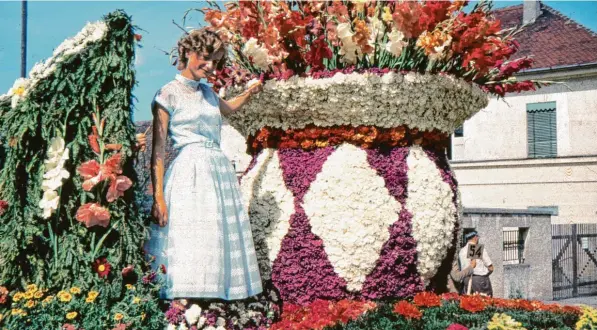  ?? Fotos: Konrad Koller ?? 22.000 Gladiolenz­wiebeln hatten 1956 die Kleingärtn­er in ihren Gärten zum Blühen gebracht.