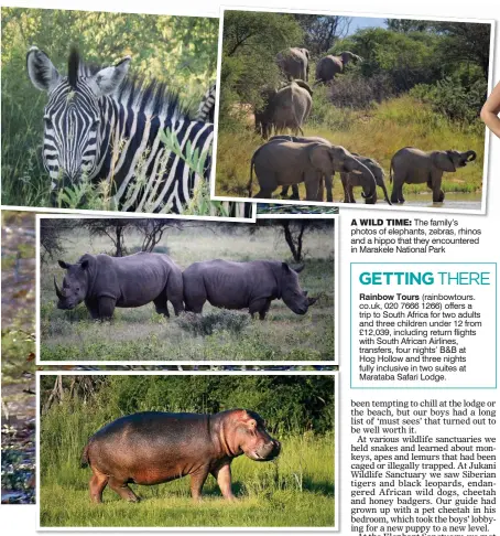  ??  ?? A WILD TIME: The family’s photos of elephants, zebras, rhinos and a hippo that they encountere­d in Marakele National Park