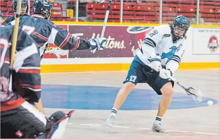  ?? BOB TYMCZYSZYN THE ST. CATHARINES STANDARD ?? St. Catharines’ Jeff Wittig (17) fires a shot on Barrie goalie Ethan Woods (30) in junior A lacrosse Wednesday night at Jack Gatecliff Arena in St. Catharines.