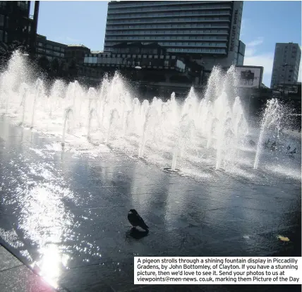  ??  ?? A pigeon strolls through a shining fountain display in Piccadilly Gradens, by John Bottomley, of Clayton. If you have a stunning picture, then we’d love to see it. Send your photos to us at viewpoints@men-news. co.uk, marking them Picture of the Day