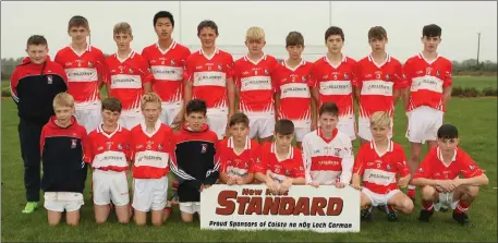  ??  ?? The Fethard squad prior to their gallant effort to capture a county title against Glynn-Barntown.