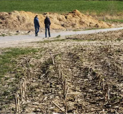  ?? ZATERDAG 28, ZONDAG 29 MAART 2020 © Dieter Telemans ?? Dilbeek, waar ook coronawand­elaars thuis zijn en waar de trage wegen gekoesterd worden.