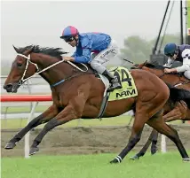  ?? PHOTO: TRISH DUNELL ?? Chocante will prepare for a Melbourne Cup tilt in Australia.